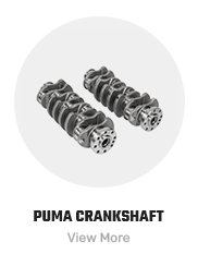 PUMAcrankshaft