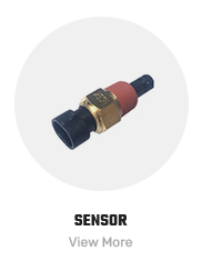 Sensor