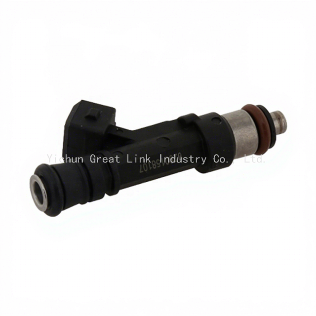 Fuel Injector 0280158107 for Renault Duster Nissan Injector Assembly-Fuel Injection Valve 406-1132V 3160